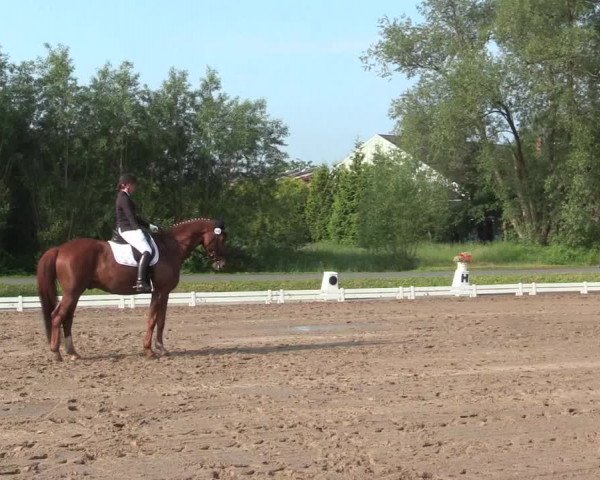 Reitturnier Hille 2016