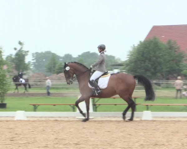 Reitturnier Hille 2016