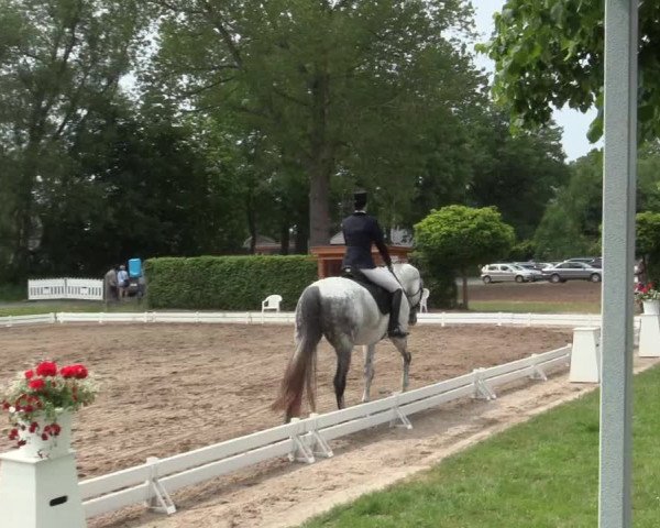 Reitturnier Hille 2016