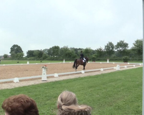Reitturnier Hille 2016