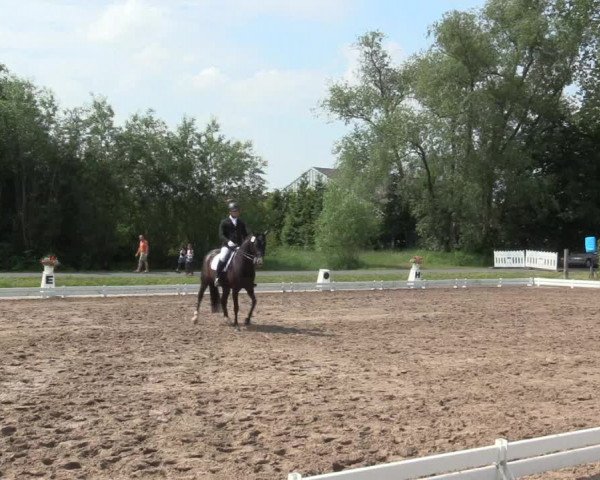 Reitturnier Hille 2016