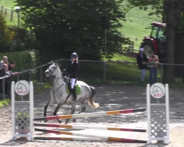 Reitturnier Kierspe-Hohenholten 2016