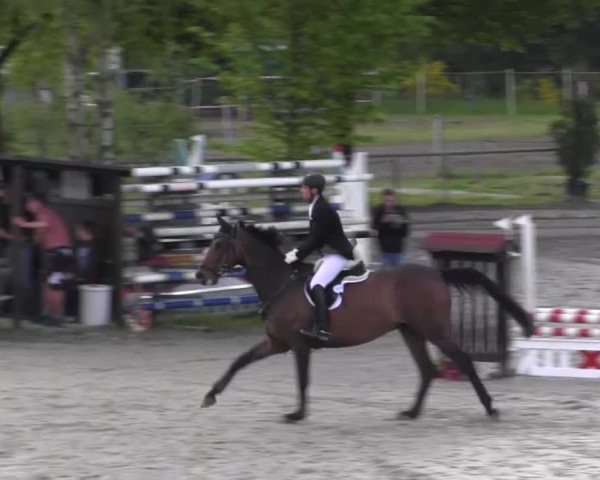 Reitturnier Kierspe-Hohenholten 2016