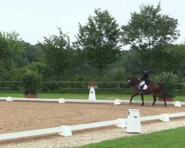 Reitturnier Hille 2016