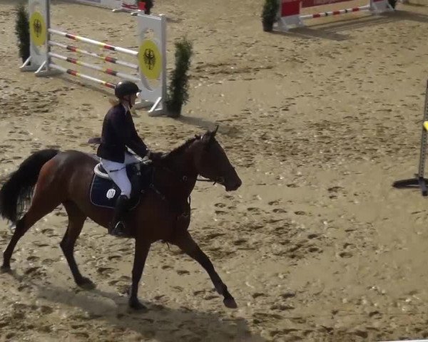 Reitturnier Sprockhövel, Auf der Gethe 2016