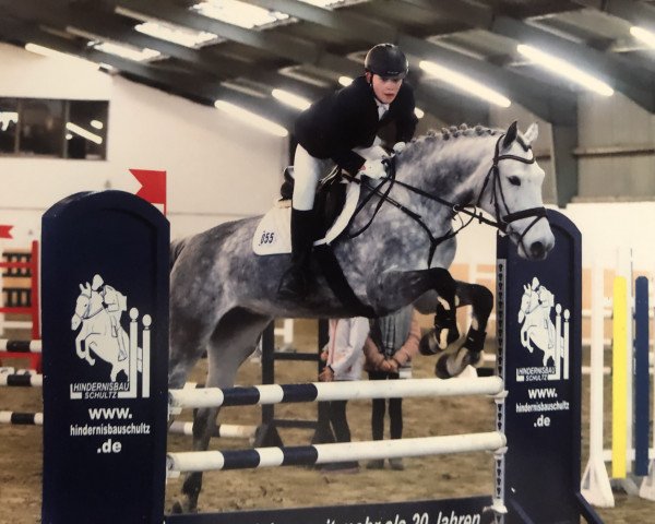 jumper Calanda 48 (Hanoverian, 2011, from Clinton I)