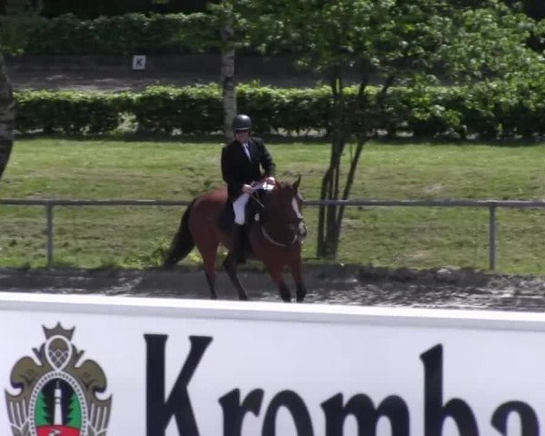 Reitturnier Kierspe-Hohenholten 2016