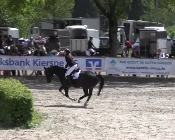 Reitturnier Kierspe-Hohenholten 2016