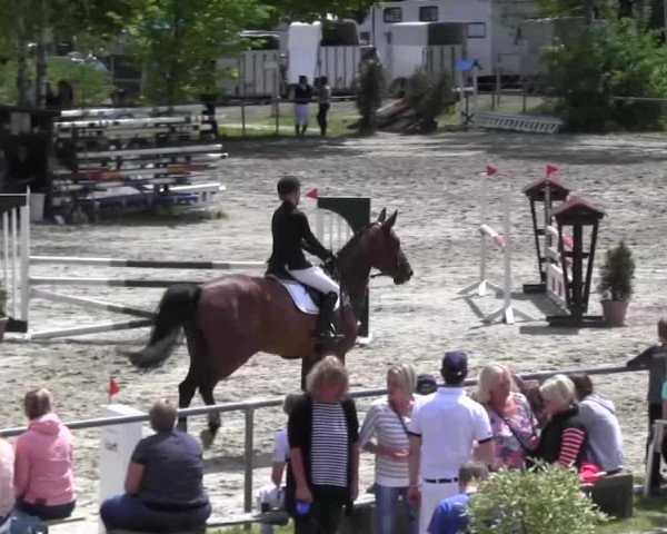 Reitturnier Kierspe-Hohenholten 2016