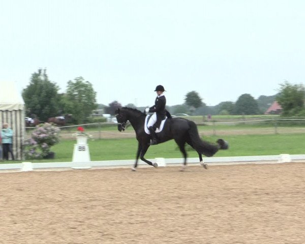 Reitturnier Hille 2016