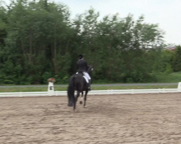 Reitturnier Hille 2016