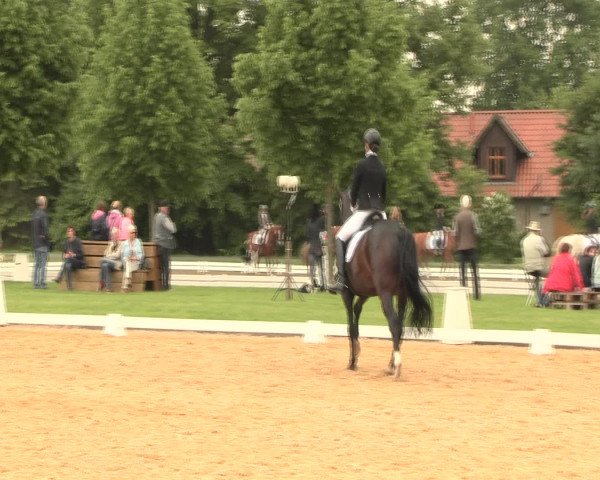 Reitturnier Hille 2016