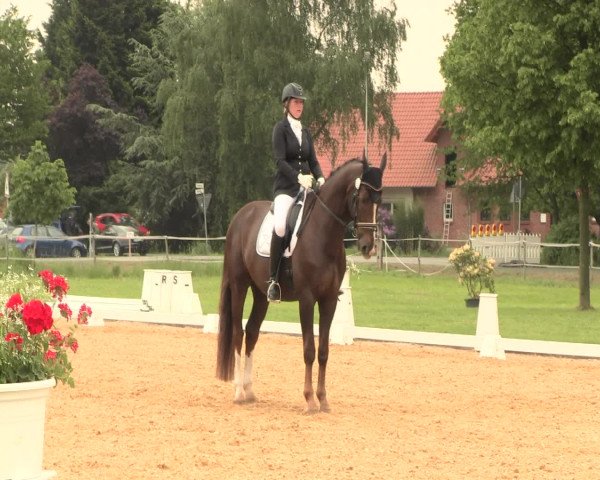 Reitturnier Hille 2016