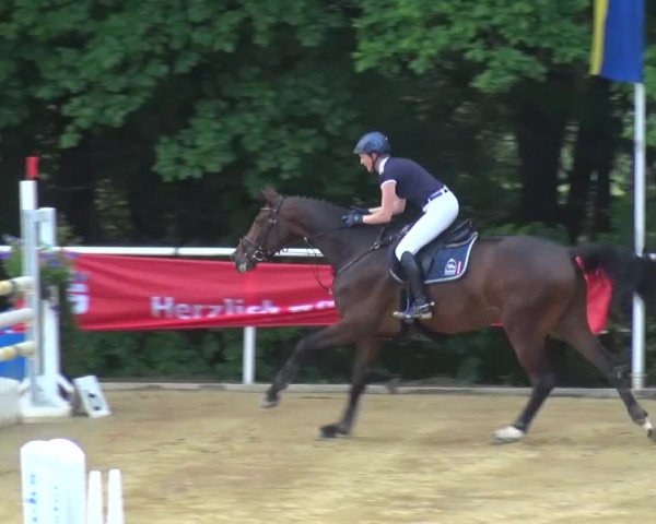 Reitturnier Sprockhövel, Auf der Gethe 2016