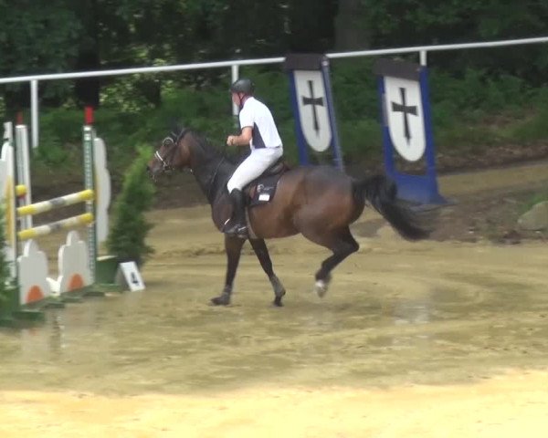 Reitturnier Sprockhövel, Auf der Gethe 2016