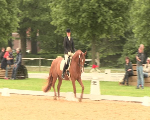 Reitturnier Hille 2016