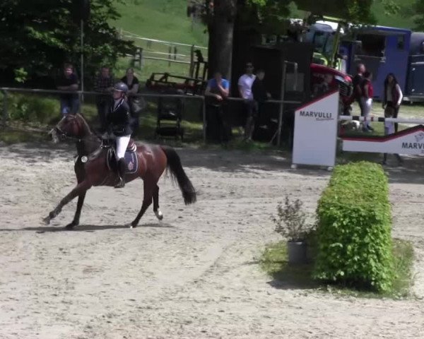 Reitturnier Kierspe-Hohenholten 2016