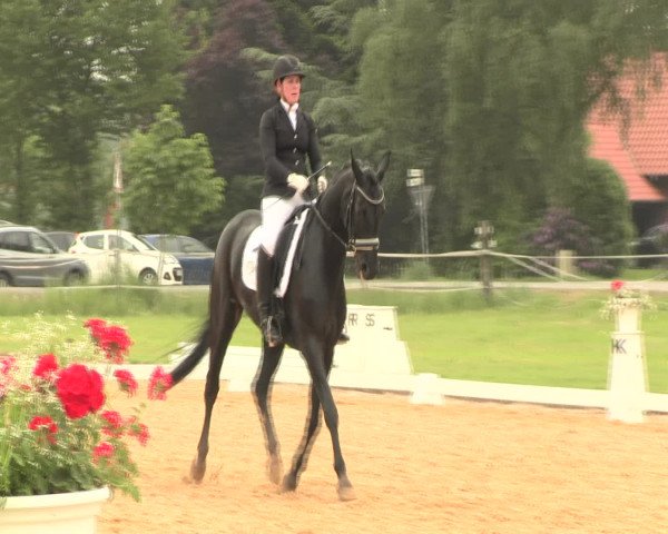 Reitturnier Hille 2016