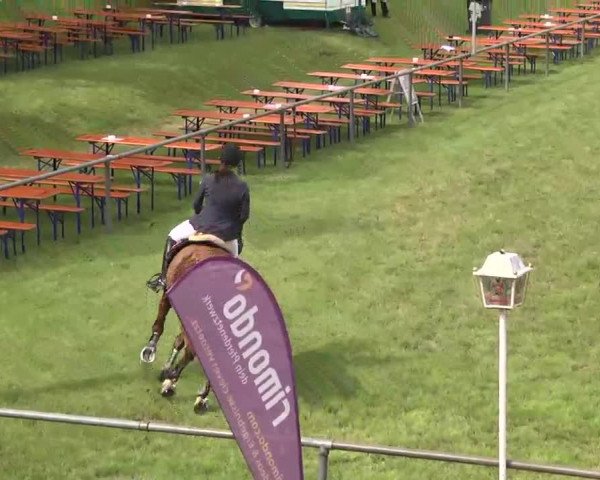 Reitturnier Leingarten 2016