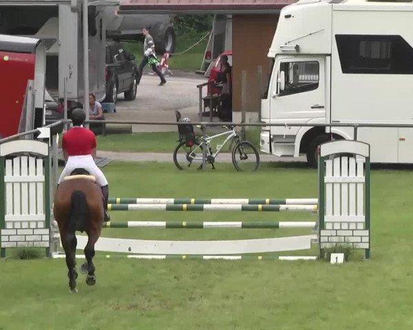 Reitturnier Leingarten 2016