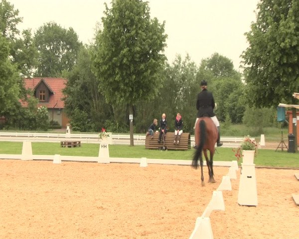 Reitturnier Hille 2016
