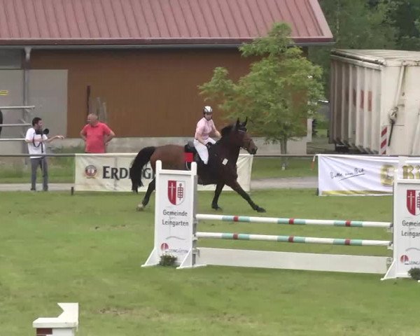 Reitturnier Leingarten 2016