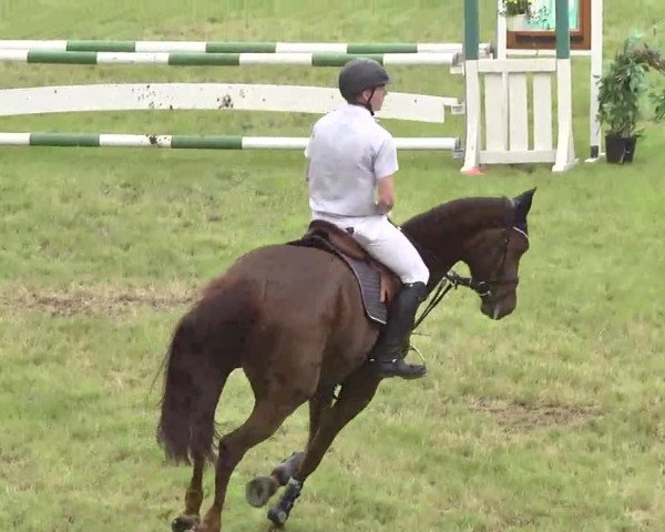 Reitturnier Leingarten 2016