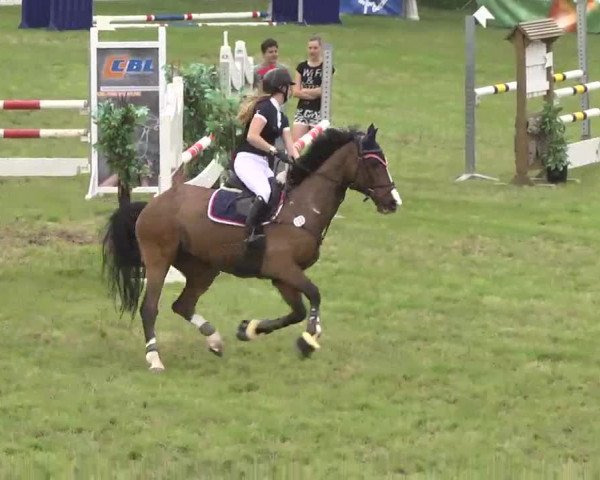 Reitturnier Leingarten 2016