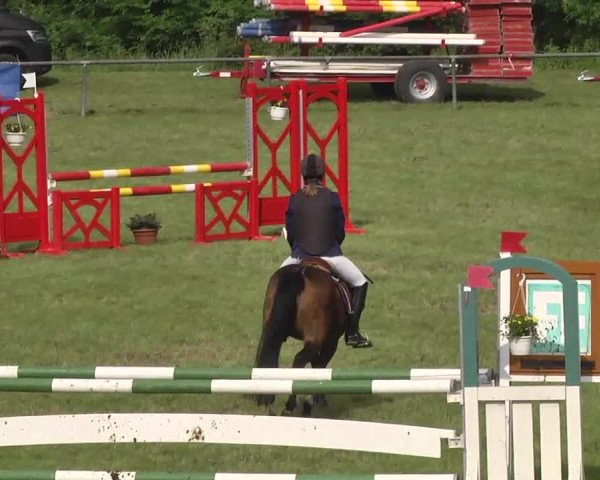 Reitturnier Leingarten 2016