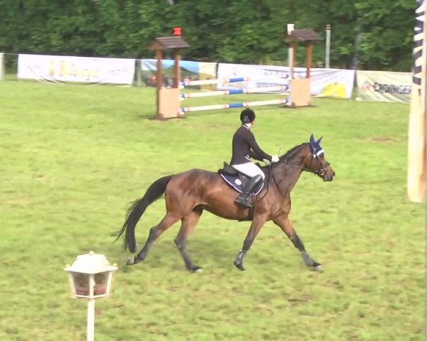 Reitturnier Leingarten 2016