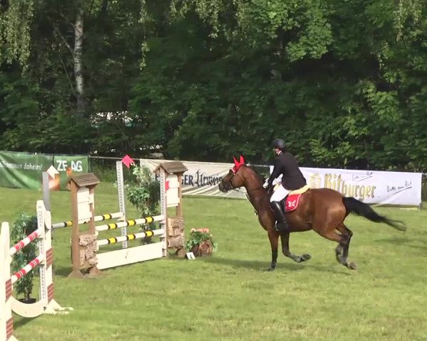 Reitturnier Leingarten 2016