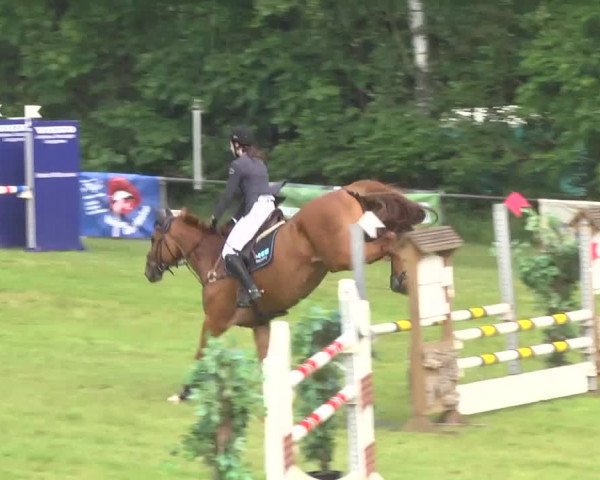 Reitturnier Leingarten 2016