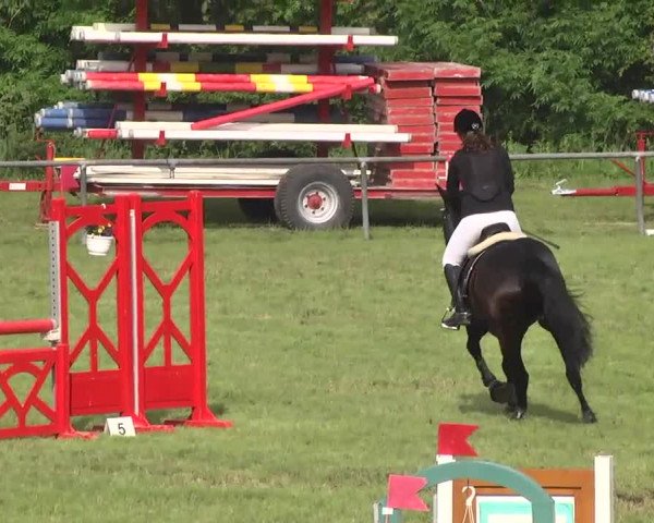 Reitturnier Leingarten 2016