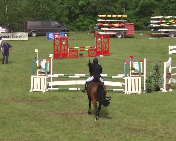 Reitturnier Leingarten 2016