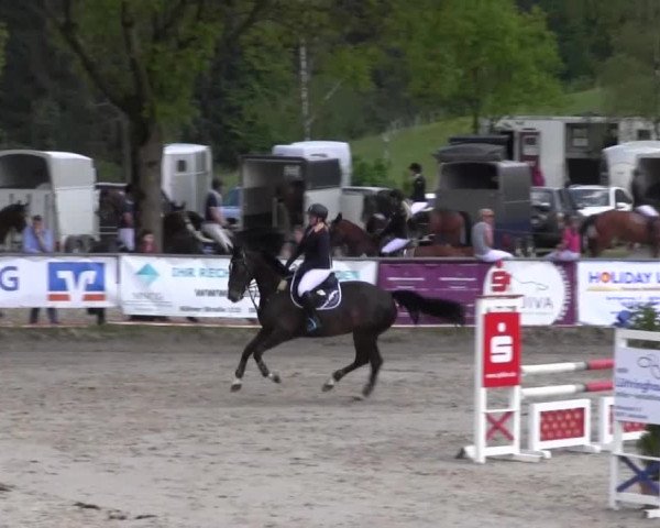 Reitturnier Kierspe-Hohenholten 2016