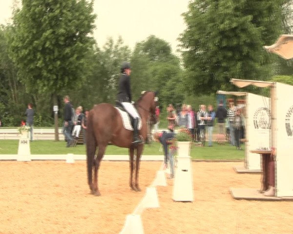 Reitturnier Hille 2016