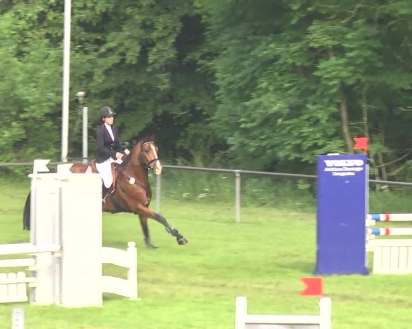 Reitturnier Leingarten 2016