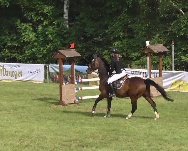Reitturnier Leingarten 2016