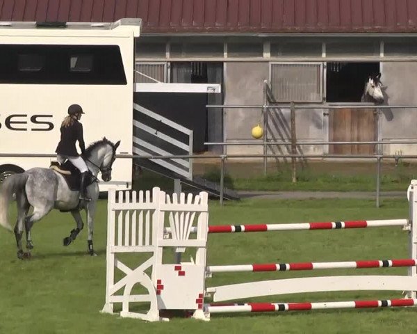 Reitturnier Leingarten 2016
