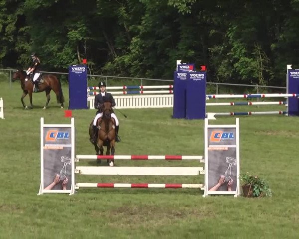 Reitturnier Leingarten 2016