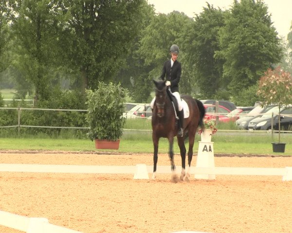 Reitturnier Hille 2016