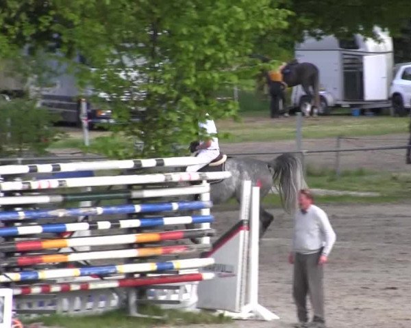 Reitturnier Kierspe-Hohenholten 2016