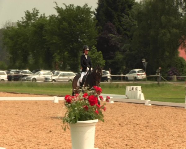 Reitturnier Hille 2016