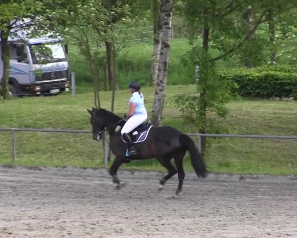 Reitturnier Kierspe-Hohenholten 2016