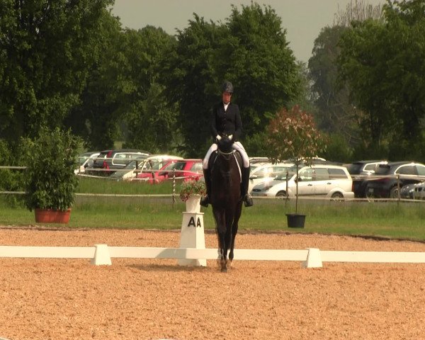 Reitturnier Hille 2016