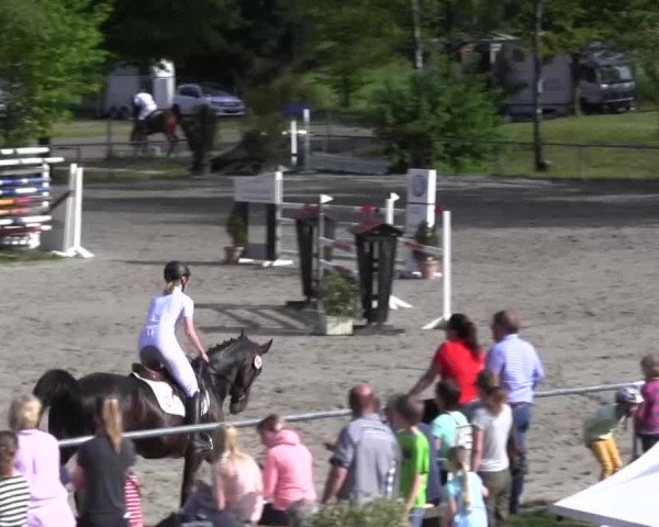 Reitturnier Kierspe-Hohenholten 2016