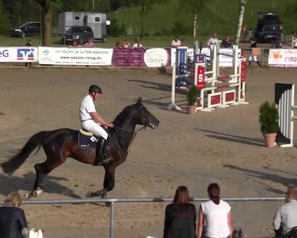 Reitturnier Kierspe-Hohenholten 2016