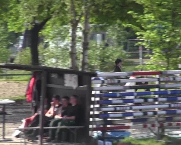 Reitturnier Kierspe-Hohenholten 2016
