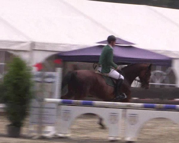 Reitturnier Bissendorf - Gut Stockum 2016