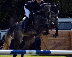 broodmare Casablanca 113 (Hanoverian, 2010, from Corlensky G)